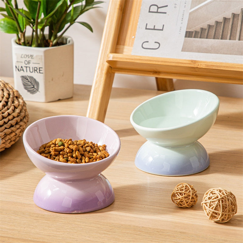 Gradient Color Ceramic Raised Cat Bowls