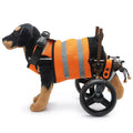 Adjustable Dog Wheelchair for Back Legs