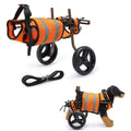 Adjustable Dog Wheelchair for Back Legs